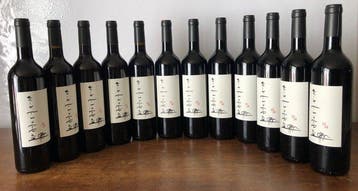 2018 Domaine La Chochotte du Boulon Cuvée Erik Truffaz -, Nieuw