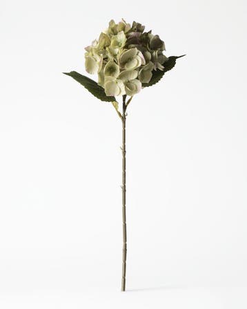 HEMA Kunstbloem hortensia 55cm groen, Verzenden