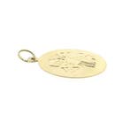 Gouden sterrenbeeld hanger; Kreeft (Hanger of bedel), Ophalen of Verzenden, Gebruikt, Goud, Overige merken