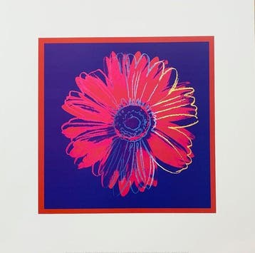Andy Warhol (after) - Daisy, 1982 - Pop Art Artprint - 50,6