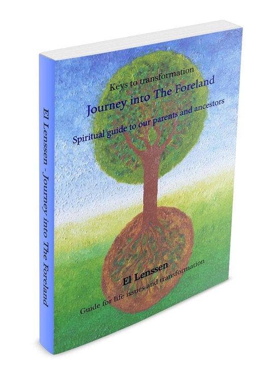 Journey into the Foreland / Sleutels tot transformatie, Boeken, Taal | Engels, Zo goed als nieuw, Verzenden