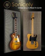 Vintage Style akoestische panelen met Hercules gitaarhaak, Ophalen of Verzenden, Nieuw