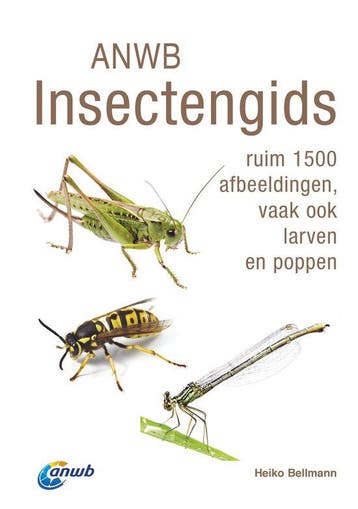9789043928786 ANWB natuurgidsen - ANWB Insectengids, Verzenden, Nieuw, Heiko Bellmann