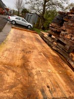 6X Boomstambladen, complete partij 420,- REF 790, Doe-het-zelf en Verbouw, Hout en Planken, Nieuw, Ophalen of Verzenden, 250 tot 300 cm