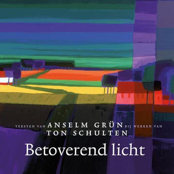 Betoverend licht - Ton Schulten 9789025904555, Verzenden, Zo goed als nieuw, Ton Schulten