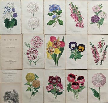 James Andrews (1801 /1879) - Edward Beck (1803 /1861) - Lot.