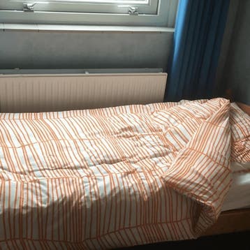 Kamer in Delft gevonden voor €500,- pm, Direct bij eigenaar, Zuid-Holland, Delft, (Studenten)kamer