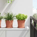 vidaXL Ronde Bloemenschalen 24 pcs Baksteenrood Ø 14 x 2 cm, Kunststof, Minder dan 30 cm, Verzenden, Minder dan 60 cm