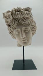 sculptuur, Testa di Apollo - 34 cm - marmerstof