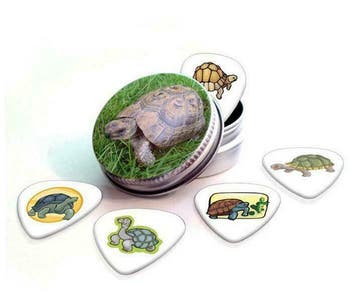 Blikje + plectrums met afbeelding van een Schildpad, Ophalen of Verzenden, Nieuw