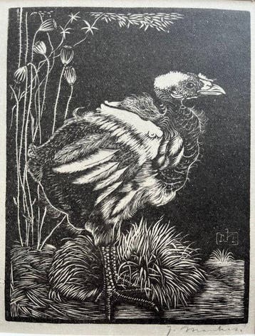Jan Mankes (1889-1920) - Heliogravure Nestkuiken 1923, Antiek en Kunst