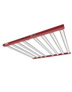 Ralight | LED Kweeklamp | 1000w | 120x120cm, Ophalen of Verzenden, Nieuw