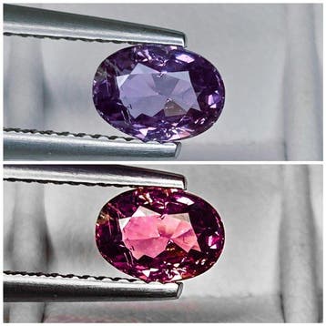 Zonder minimumprijs Paars, Roze Saffier - 1.00 ct -, Nieuw
