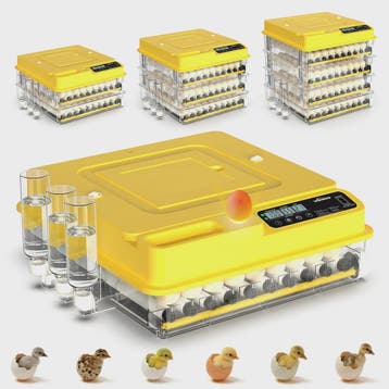 Automatische Broedmachine 288 Eieren - Volledig Automatisch, Verzenden, Nieuw