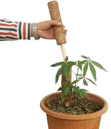Mosstok Kokosstok planten totems set 50 + 30 cm, Ophalen of Verzenden, Nieuw