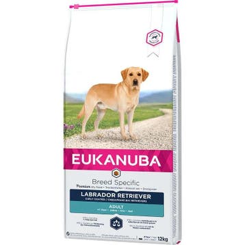 Eukanuba Labrador Retriever 12 kg (Hondenvoer), Verzenden, Hond