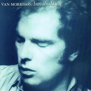 cd - Van Morrison - Into The Music, Verzenden, Zo goed als nieuw