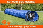Agility Tunnel voor Honden – Spelen, Trainen & Plezier, Ophalen of Verzenden, Hond