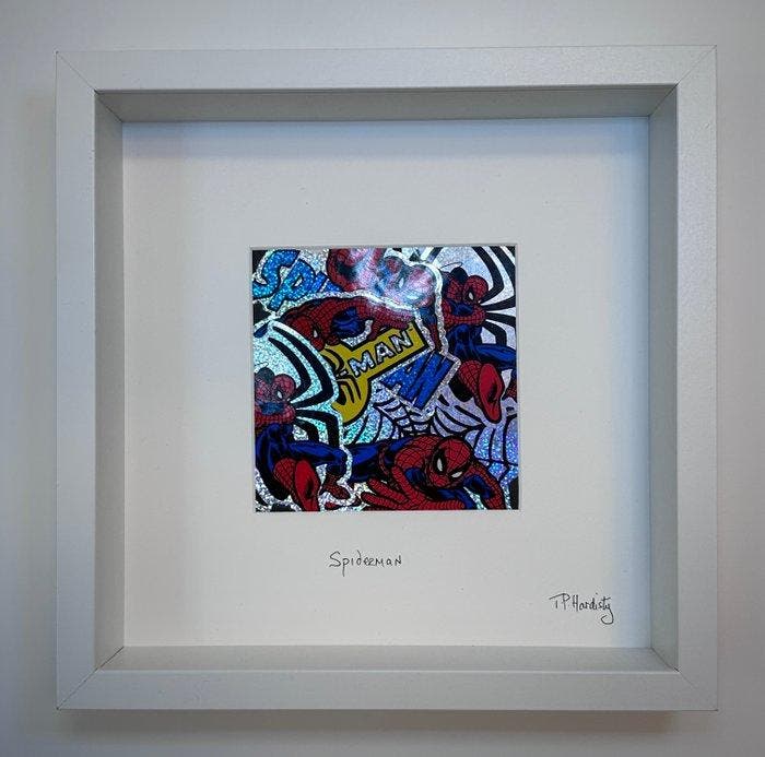 T P Hardisty - Spiderman, Antiek en Kunst, Kunst | Designobjecten