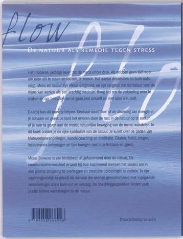Flow - Michel Beankens 9789058266958, Verzenden, Gelezen, Michel Beankens