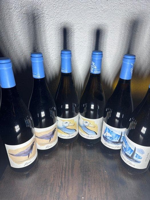 2024 x 2 Domaine dea Albatros Karma 2023 x 2 Grand, Verzamelen, Wijnen