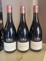 2020 Thibault Liger-Belair La Roche, Champ de Cour &, Nieuw