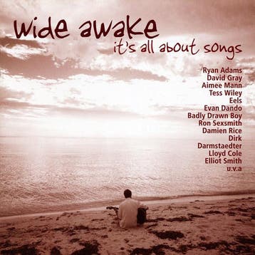 cd - Various - Wide Awake - Its All About Songs, Verzenden, Zo goed als nieuw