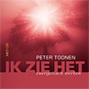 Ik zie het - Peter Toonen 9789055992577, Boeken, Verzenden, Gelezen, Peter Toonen