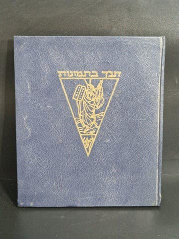 Jewish bible book in pictures Illustrations by Gustav Dore -, Antiek en Kunst