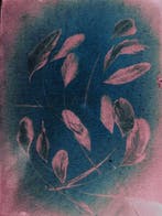 Susana Galbis - The inception of dreams