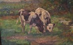 Dirk Johannes van Haaren (1878-1953) - 2 kalfjes