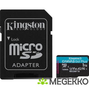 Kingston Canvas Go! Plus 1TB, Verzenden, Nieuw