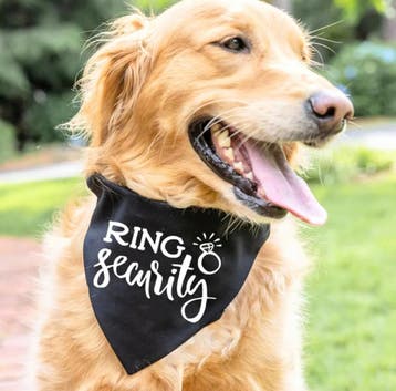 Honden of katten bandana My Humans are getting Married, Ophalen of Verzenden, Nieuw, Versiering, Geboorte of Huwelijk