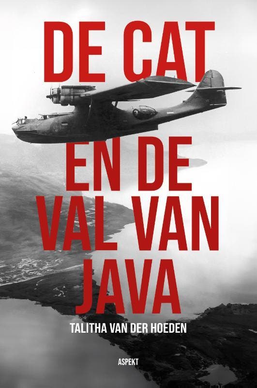De Cat en de val van Java - Talitha van der Hoeden, Boeken, Geschiedenis | Wereld, Zo goed als nieuw, Verzenden