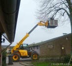 Bomen snoeien, dak,  silo`s (schoon)maken met verreiker, Veehouderij, Werkplaats, Gebouw of Erf
