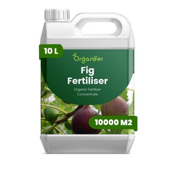 Vloeibare vijgenmeststof - 10 liter, Verzenden, Mest