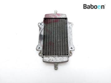 Radiateur Piaggio | Vespa GTS 250 2005-2013 (GTS250, Verzenden, Gebruikt