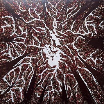 Trash Boat - Crown Shyness, Ophalen of Verzenden, Gebruikt