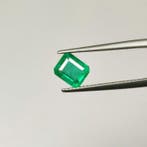 Groen Smaragd - 1.51 ct - International Gemological, Nieuw