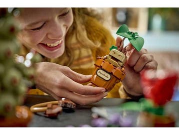 LEGO Harry Potter - Zweinstein Kruidenkunde Planten -, Verzenden, Nieuw