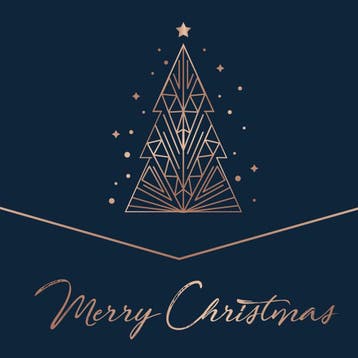Various - Merry Christmas (vinyl 2LP), Verzenden, Nieuw in verpakking, 12 inch