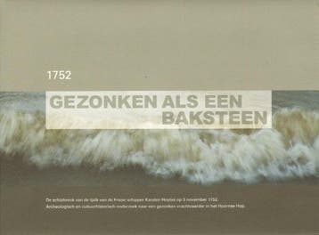 Gezonken als een baksteen - Bartels 9789081645218, Verzenden, Zo goed als nieuw, Bartels