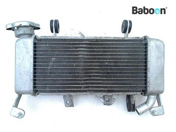 Radiateur Yamaha YZF R 125 2019-2020 (YZF-R125 RE391), Motoren, Verzenden, Gebruikt