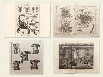 Panckouke, Benard - Enciclopedia metódica de Panckoucke