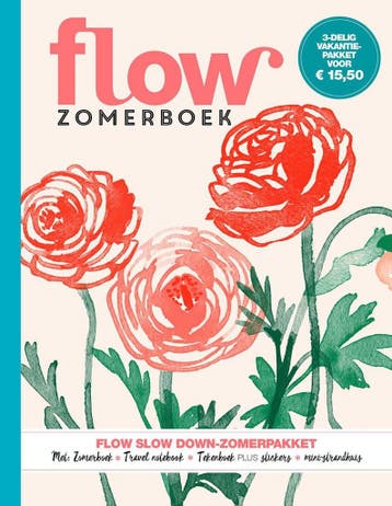 Flow Zomerboek 2019 8710722012183 Sanoma Media NL, Verzenden, Gelezen, Sanoma Media NL
