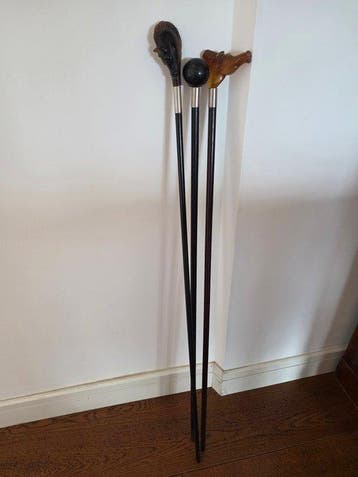 Wandelstok (3) - Hout, Composiet, Antiek en Kunst