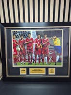 Wereldkampioenschap Voetbal - Roberto Carlos - Foto, Nieuw