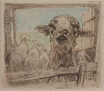 Willem Hendrik van der Nat (1864–1929) - Schapenportret, Antiek en Kunst