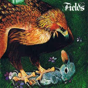 cd - Fields - Fields, Verzenden, Zo goed als nieuw