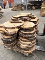 ca 80X Boomstamschijf, complete partij 390,- REF 788, 25 tot 50 mm, Overige typen, Nieuw, Ophalen of Verzenden